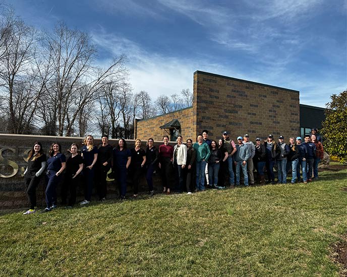 Bluegrass Equine Surgery Team in Versailles