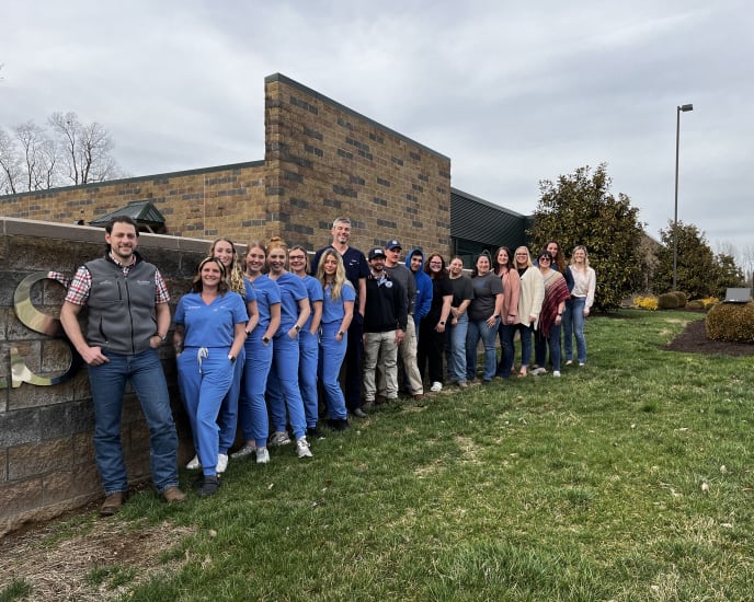 Bluegrass Equine Surgery Team in Versailles